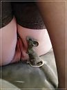 muisje, foto 480x640, 15 reacties, 31 stemmen