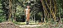naakt buiten poseren, foto 2340x1080, 0 reacties, 8 stemmen