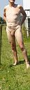 naakt, foto 645x1888, 4 reacties, 6 stemmen