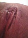 nat, foto 480x640, 1 reacties, 10 stemmen