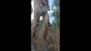 natuur, film 00:00:00, 1 reacties, 4 stemmen