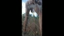 natuur, film 00:00:25, 5 reacties, 10 stemmen