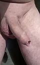 net wakker, foto 1902x3085, 1 reacties, 2 stemmen