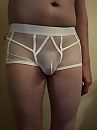 nieuwe boxer, foto 2316x3088, 5 reacties, 6 stemmen