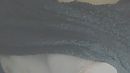 noughty, foto 600x338, 18 reacties, 67 stemmen