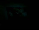 oef, film 00:00:13, 1 reacties, 3 stemmen