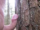 oeps, botsing....., foto 4000x3000, 11 reacties, 30 stemmen