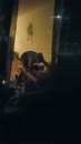 of ik eerst wou gluren 2, film 00:00:00, 5 reacties, 31 stemmen