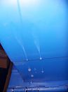 ook zonde, foto 540x720, 2 reacties, 2 stemmen