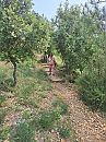 op wandel naakt, foto 1536x2048, 4 reacties, 49 stemmen