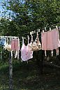 opruimen beste !!!!, foto 736x1104, 1 reacties, 5 stemmen