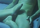 paa, foto 630x452, 4 reacties, 10 stemmen