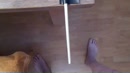 penis sounding, film 00:00:00, 1 reacties, 6 stemmen