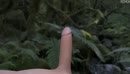 pfff, film 00:00:00, 36 reacties, 56 stemmen