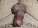 pfffffffff wat nu, foto 4000x3008, 1 reacties, 5 stemmen
