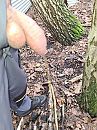 plassen, foto 689x919, 9 reacties, 9 stemmen