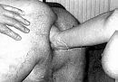 playtime, foto 789x559, 3 reacties, 9 stemmen