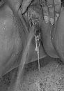 playtime, foto 318x447, 4 reacties, 15 stemmen
