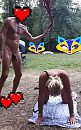prachtige zomer 2025, foto 2172x3456, 8 reacties, 81 stemmen