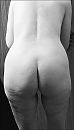 puttenbips, foto 2287x4000, 31 reacties, 63 stemmen
