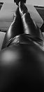 pvcchub2, foto 1787x3651, 3 reacties, 8 stemmen