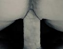 raak, foto 3170x2485, 2 reacties, 6 stemmen