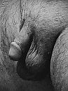 schwarz weis, foto 3000x4000, 0 reacties, 0 stemmen