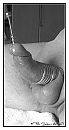 sounding, foto 1035x1937, 1 reacties, 2 stemmen