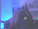 stem en geef leuke reactie, film 00:00:00, 1 reacties, 2 stemmen
