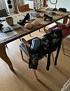 stilleven, foto 3024x3909, 6 reacties, 20 stemmen