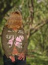 strippen, foto 480x640, 12 reacties, 24 stemmen