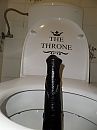 the throne, foto 1944x2592, 4 reacties, 11 stemmen