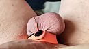 tied balls, foto 4000x2197, 4 reacties, 6 stemmen