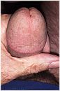 trekken, foto 1134x1701, 0 reacties, 0 stemmen