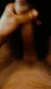 tribute, film 00:00:11, 1 reacties, 5 stemmen