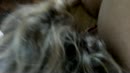 van morgen, film 00:00:00, 5 reacties, 38 stemmen