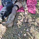 veluwemilf in sprookjesbos, foto 3056x3056, 19 reacties, 98 stemmen