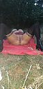 veluwemilf is er weer aan toe, foto 1944x4000, 28 reacties, 96 stemmen