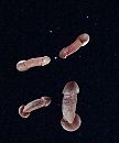 vliegen rond Mars, foto 2140x2548, 0 reacties, 2 stemmen