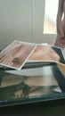 voor   Ellenenjaap, film 00:00:00, 4 reacties, 9 stemmen