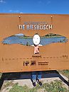 voor p, foto 3000x4000, 10 reacties, 54 stemmen