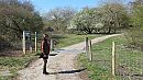 wandeling, foto 1490x848, 4 reacties, 16 stemmen