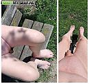 welk, foto 550x519, 0 reacties, 1 stemmen