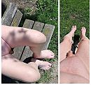 wie, foto 550x519, 0 reacties, 4 stemmen