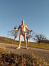 wolking, foto 586x782, 1 reacties, 3 stemmen