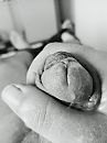 xx, foto 768x1024, 0 reacties, 0 stemmen