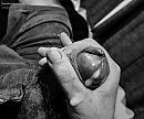 xx, foto 1024x851, 0 reacties, 2 stemmen