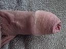 xx, foto 2688x2016, 0 reacties, 0 stemmen