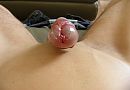 xxx, foto 545x379, 5 reacties, 10 stemmen