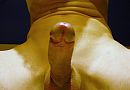 xxx, foto 600x419, 5 reacties, 15 stemmen